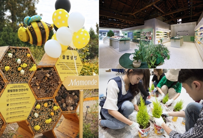 (왼쪽에서 시계방향으로) 마몽드의 도심 속 꿀벌 살리기 캠페인, 이니스프리 공병공간 내부, 리사이클 게릴라 가드닝 현장.