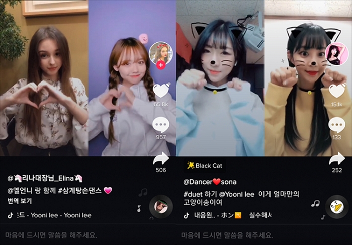 틱톡 인플루언서들이 올린 삼계탕손댄스 영상(왼쪽)과 고양이송 영상.
