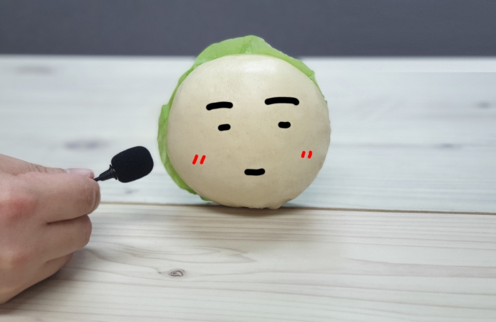 기자가 호빵이와 인터뷰를 하고 있다...