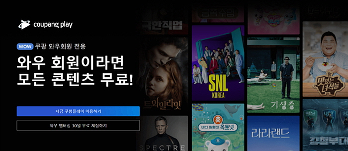 쿠팡플레이 홈페이지 메인화면. 사진=쿠팡플레이.