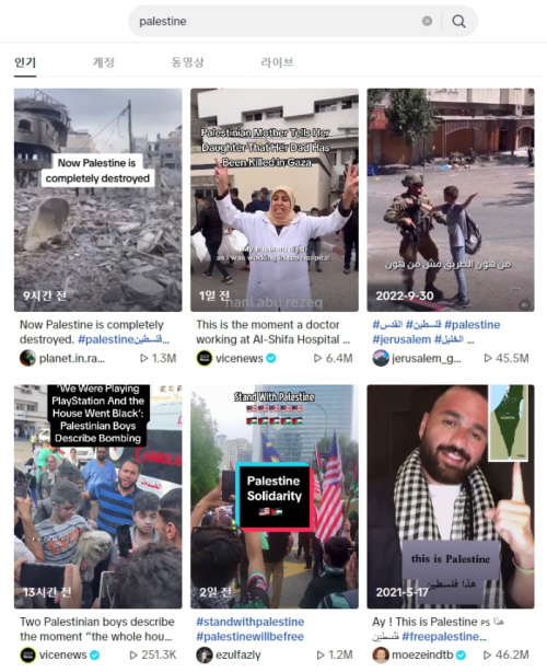 틱톡에서 '팔레스타인' 키워드로 검색하면 나오는 인기 영상 리스트