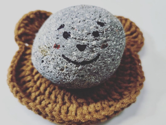 직장인 김상희 씨가 키우는 반려돌의 모습. 뉴시스