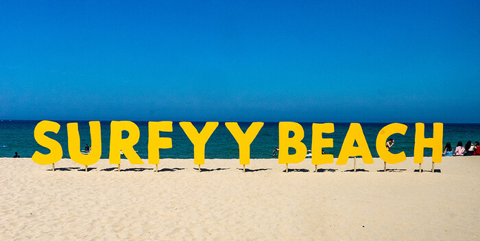 사진=서피비치 제공