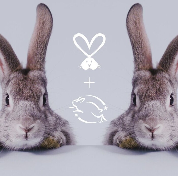 엘프뷰티는 동물 실험을 하거나 용인하지 않으며 자사 스킨케어 제품과 화장품에 동물 실험을 거친 원료를 사용하지 않는다는 점을 강조한다. 엘프뷰티는 2022년 화장품, 세제 제조시 동물실험을 금지하는 기업에 부여하는 리핑 버니(Leaping Bunny) 인증을 받았다. 사진=E.L.F. BEAUTY 링크드인(LinkedIn) 계정 캡처.