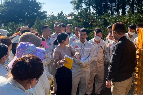 2023년 11월 1일 오후 제주 서귀포시 남원읍 위미리 인근 과수원에서 베트남 남딘성에서 온 외국인 공공형 계절노동자들이 감귤 수확 현장 실습을 하고 있다. 이들은 근로자 오리엔테이션과 교육을 받은 뒤 2일부터 일손이 필요한 농가에 투입됐다. 사진=제주위미농협 제공