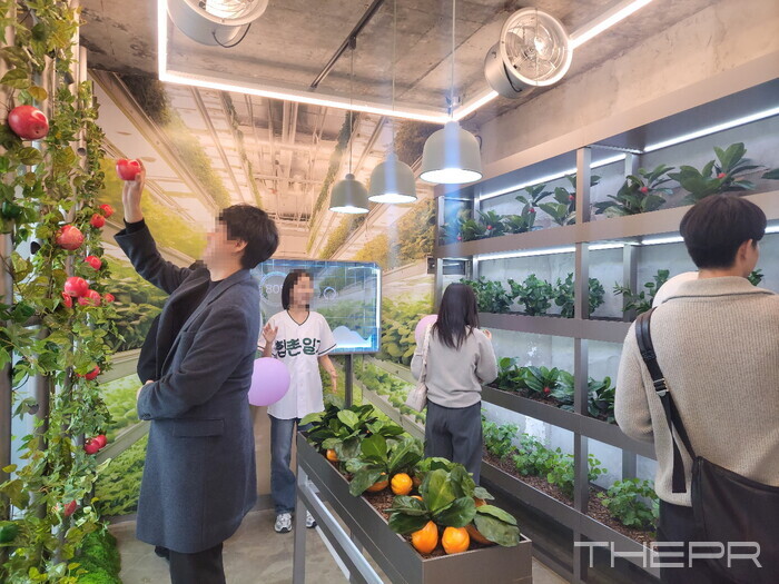 1층 스마트팜에서 작물 수확 체험을 해보는 방문객들. 사진=김병주 기자.