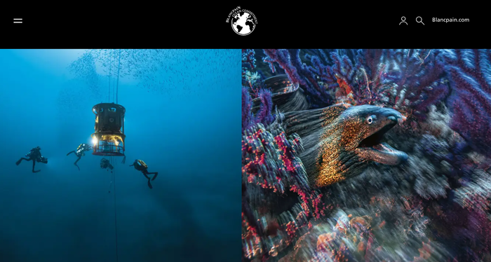 블랑팡 해양 공약 이니셔티브:  곰베사 탐험 