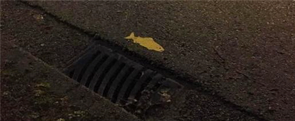 캐나다 밴쿠버 지역의 비점오염원에 표기된 노란 물고기 이미지 ©공공소통연구소