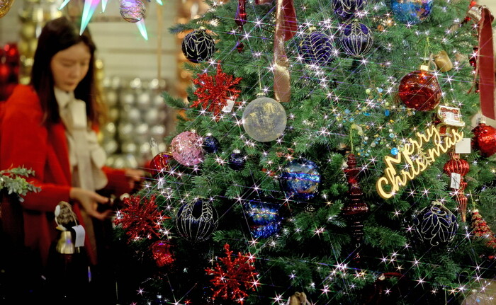 지난 11월 25일 대구 북구 칠성동 꽃 백화점을 찾은 한 시민이 크리스마스 소품과 트리를 살펴보고 있다. 사진=뉴시스.