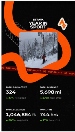 내가 올해 얼마나 활동적이었는지 스트라바가 자세히 알려준다.