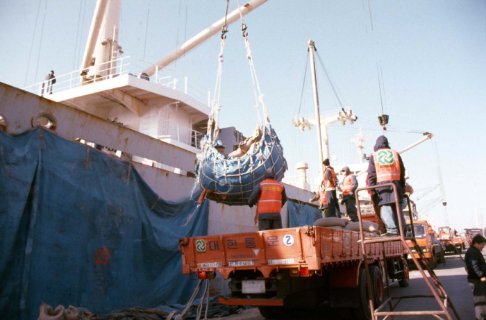 우루과이라운드 협정에 따른 인도쌀 수입하역 작업. 사진=국가기록원