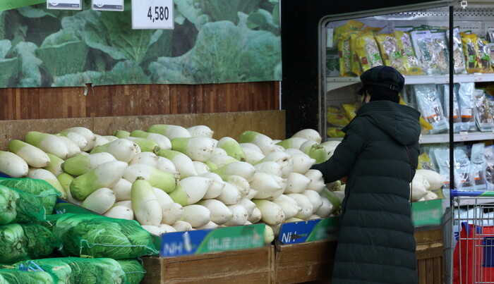 지난 1일 서울 한 대형마트에서 시민이 무를 살펴보고 있다. 지난해 이상기후로 인해 과일과 채소 등 신선식품 물가가 크게 오르며 14년 만에 가장 높은 상승률을 기록했다. 사진=뉴시스