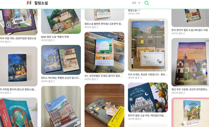 매력적인 독립형 건물 그림 표지는 한국식 힐링소설이 갖는 특징 중 하나다(네이버 검색 이미지)