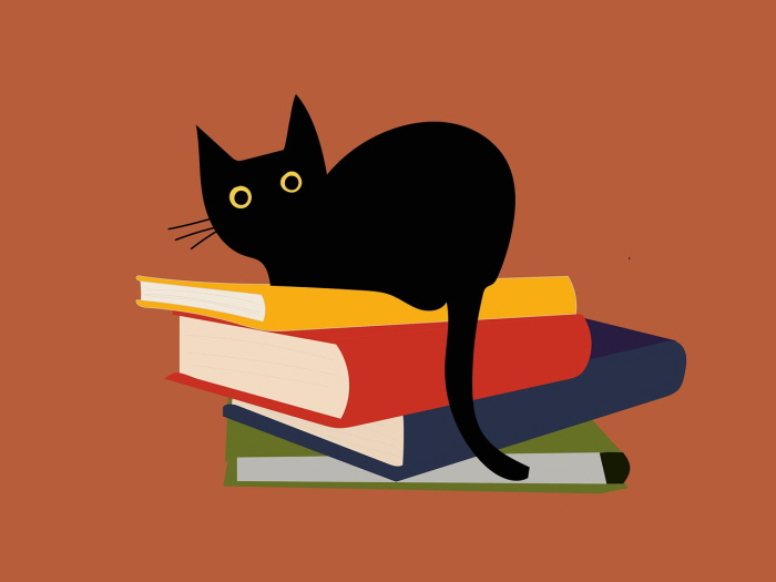 고양이는 일본 치유소설에서 빠질 수 없는 동반자다.