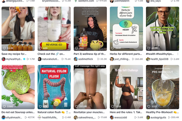 Health와 Wellness로 틱톡에서 검색되는 건강 비법들 (사진=틱톡 검색 화면)