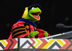 "함께 뛰어오르자"라고 말하는 개구리 커밋 (사진 = AP뉴스 보도)