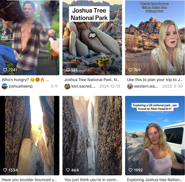 성인콘텐츠인 것처럼 유인하는 파크톡 (사진 = tiktok@joshuatreenp)