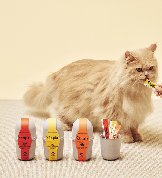 동아제약 '벳플'. 사진=동아제약 제공