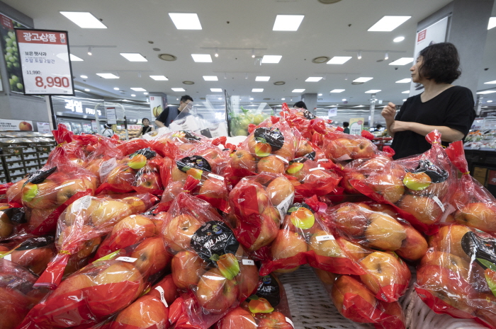한국농촌경제연구원 농업관측센터는 7일 추석 성수기(추석 전 2주) 사과와 배 출하량이 각각 작년 대비 7% 늘 것으로 예측했다. 이 연구원은 올해 추석이 10월 6일로 지난해(9월 17일)보다 20일 가까이 늦어 출하량이 늘었다고 분석했다. 사진=뉴시스