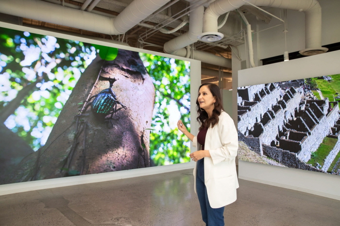 미국 캘리포니아주 어바인(Irvine, California)에서는 삼성전자 CEC(Connected Experience Center)가 B2B 디스플레이 전시장 역할을 담당한다. 대형 B2B 디스플레이 담당자 루페 버딘은 “어바인 CEC에는 삼성 전자 상업용 디스플레이의 방대한 포트폴리오를 한 곳에서 모두 직접 보고 평가할 수 있어 고객들이 선호한다”고 말한다