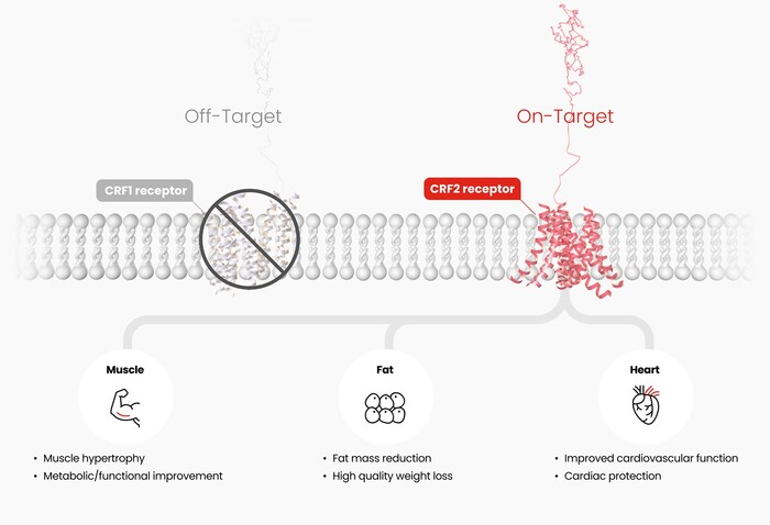 como usar glp 1 patches GLP-1 Patches: What are They, How They Work, Side Effects & More